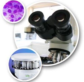 Odoo • Image and Text